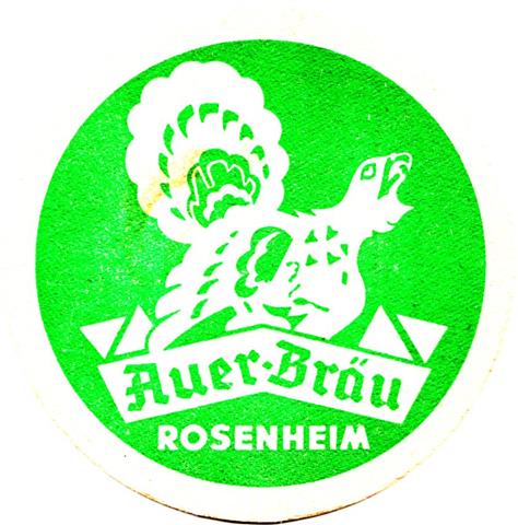 rosenheim ro-by auer was 2a (rund215-großes logo-grün)
